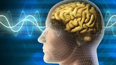 Zakon.kz, фото - Новости Zakon.kz от 23.04.2017 13:05