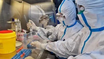 rbc.ru, фото - Новости Zakon.kz от 03.04.2020 11:49