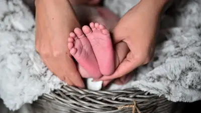 Pixabay, фото - Новости Zakon.kz от 14.12.2019 12:04