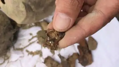 altaynews.kz, фото - Новости Zakon.kz от 19.06.2018 21:14