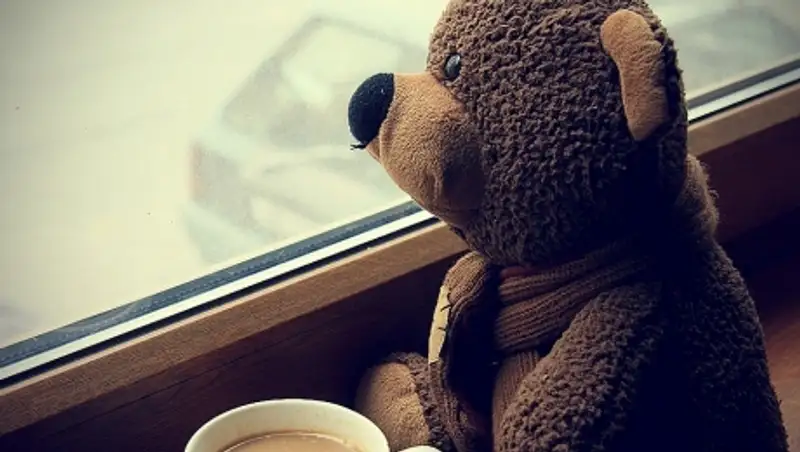 Житель Мангистау прятал героин в игрушечном медвежонке