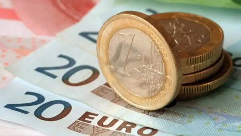 Евро предложили ввести на всей территории ЕC