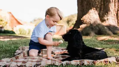 Zakon.kz, фото - Новости Zakon.kz от 27.07.2016 01:04