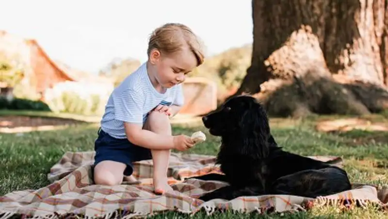Кормящий собаку мороженым принц Джордж рассердил защитников животных