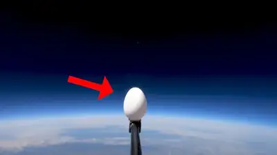 Блогер отправил два куриных яйца в космос и скинул их с 30 км, так что они не разбились, фото - Новости Zakon.kz от 02.12.2022 11:20