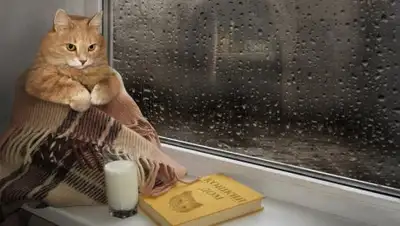 Zakon.kz, фото - Новости Zakon.kz от 09.09.2017 06:00