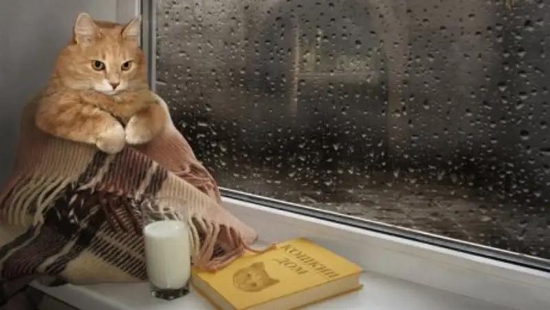 Дождь возможен в Казахстане 9 сентября