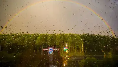 million-wallpapers.ru, фото - Новости Zakon.kz от 13.05.2019 12:56