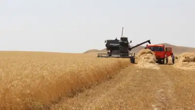 Zakon.kz, фото - Новости Zakon.kz от 27.07.2015 15:48