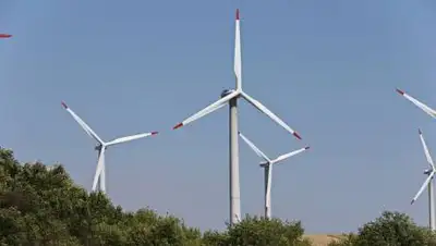 zakon.kz / Павел Михеев, фото - Новости Zakon.kz от 13.10.2021 11:45