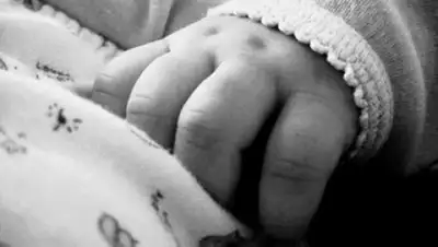 Zakon.kz, фото - Новости Zakon.kz от 05.12.2016 21:05