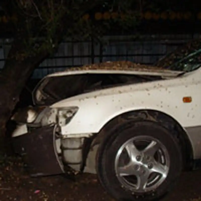 Водитель Тойоты врезалась в дерево в Алматы, погиб годовалый ребенок (фото)