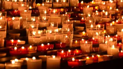 Irina Anastasiu: Pexels, фото - Новости Zakon.kz от 25.07.2020 16:35