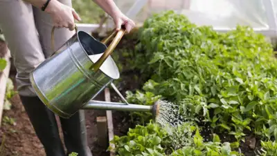 пресс-служба акима Нур-Султана, фото - Новости Zakon.kz от 27.04.2020 18:31