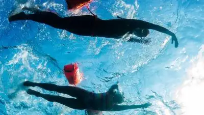 twimg.com, фото - Новости Zakon.kz от 27.10.2020 09:23