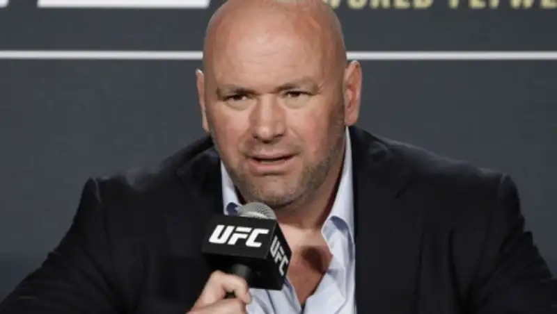 Названа локация бойцовского острова - места дебюта казахстанца в UFC