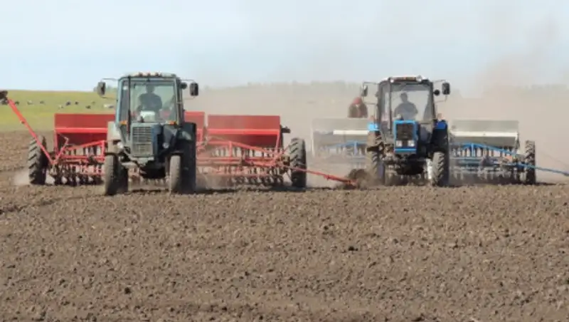 Посевные площади в Акмолинской области увеличатся еще на 2,7 тысяч га