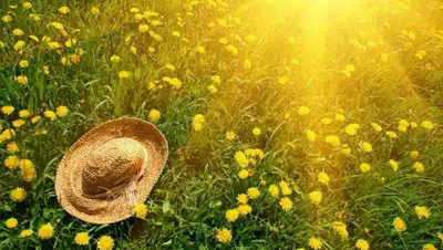 region.center, фото - Новости Zakon.kz от 18.12.2019 13:00