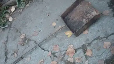 Zakon.kz, фото - Новости Zakon.kz от 08.12.2015 23:42