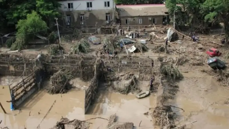 В пострадавшем от наводнения тбилисском зоопарке родился олененок