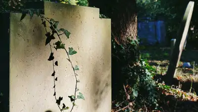 pxhere.com, фото - Новости Zakon.kz от 19.07.2019 23:40