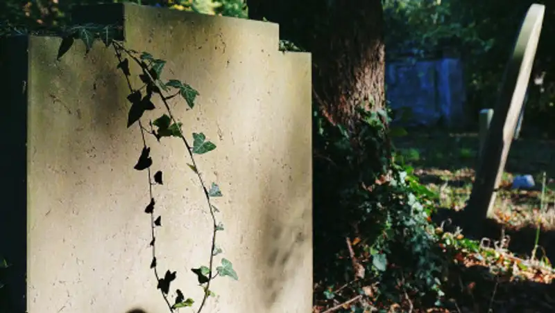 Алматинские пенсионеры утверждают, что у них забрали места на кладбище