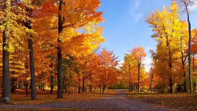 wikimedia, фото - Новости Zakon.kz от 30.09.2020 06:00