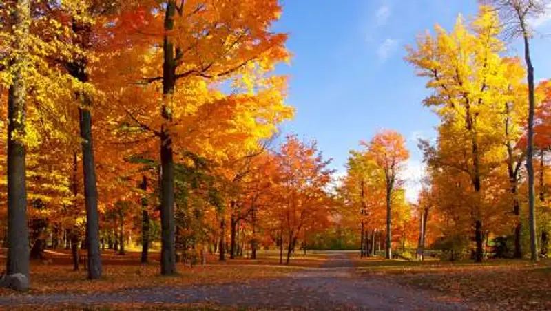 30 сентября на большей части Казахстана сохраняется погода без осадков