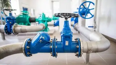 newsroom.kz, фото - Новости Zakon.kz от 23.11.2020 13:01