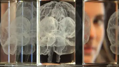 Getty Images, фото - Новости Zakon.kz от 31.07.2020 00:32