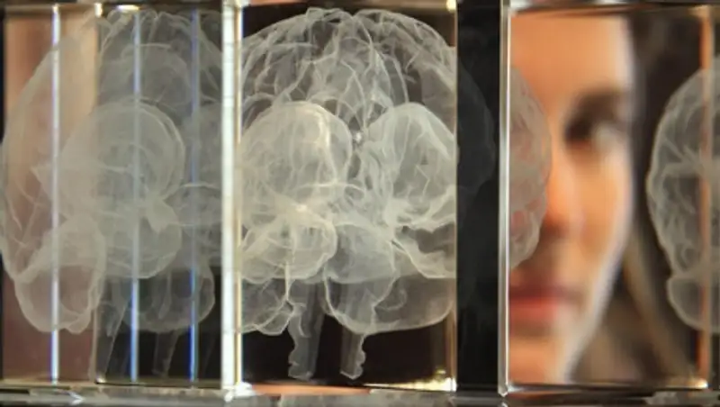 Ученые научились "стирать" из памяти неприятные воспоминания