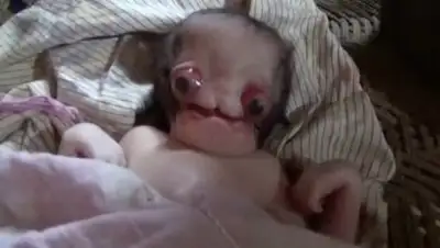 Zakon.kz, фото - Новости Zakon.kz от 22.09.2017 10:06