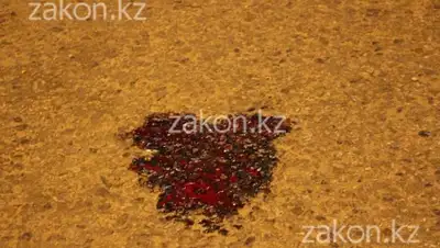 Zakon.kz, фото - Новости Zakon.kz от 05.03.2016 15:44