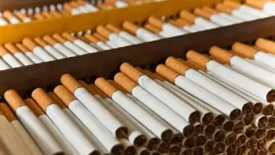 Zakon.kz, фото - Новости Zakon.kz от 11.10.2017 14:26