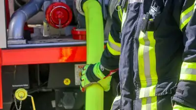 Pixabay, фото - Новости Zakon.kz от 02.05.2020 23:21