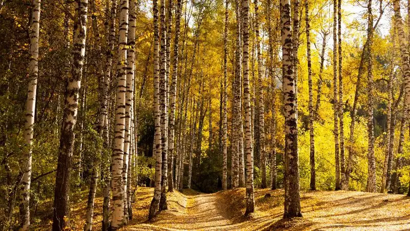 Какую погоду принесет антициклон в Казахстан 4 октября