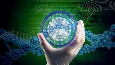 , фото - Новости Zakon.kz от 08.11.2025 09:53