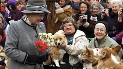 Zakon.kz, фото - Новости Zakon.kz от 03.02.2015 20:48