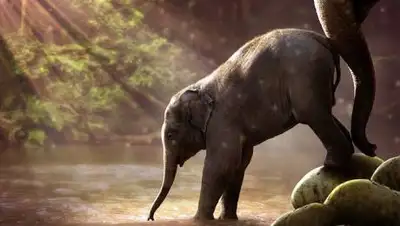 pixabay, фото - Новости Zakon.kz от 10.08.2021 08:32