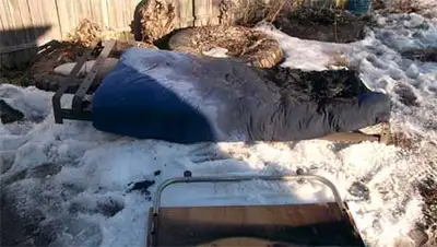 Zakon.kz, фото - Новости Zakon.kz от 31.03.2014 22:56