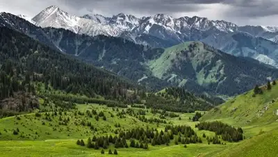 Informburo.kz, фото - Новости Zakon.kz от 07.12.2018 14:59