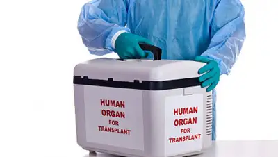 FreeImages.com, фото - Новости Zakon.kz от 19.07.2019 20:15