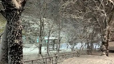 Синоптики рассказали, когда прекратится снегопад в Алматы, фото - Новости Zakon.kz от 10.01.2023 18:38