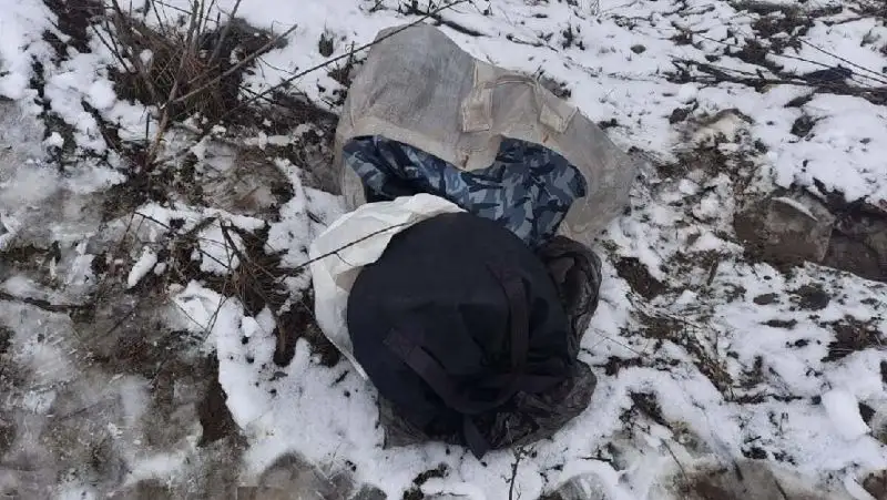 На окраине Алматы пастух нашел тайник с оружием