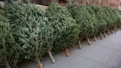 Zakon.kz, фото - Новости Zakon.kz от 26.12.2016 19:38