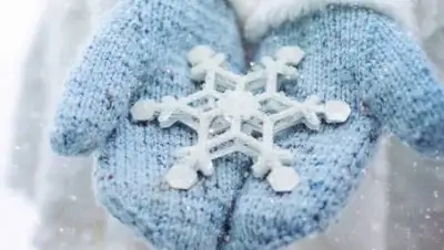 pixabay.com, фото - Новости Zakon.kz от 20.11.2020 11:42