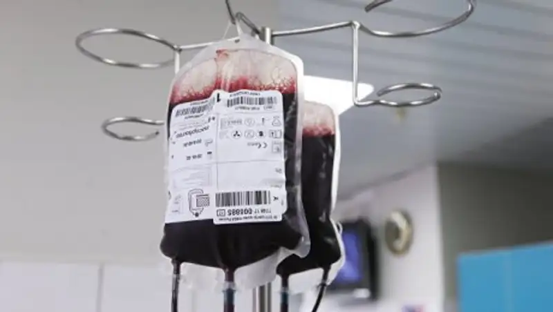 Ученые: "молодая" кровь снизила шансы развития рака и болезни Альцгеймера