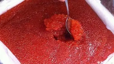 Zakon.kz, фото - Новости Zakon.kz от 12.06.2015 17:34