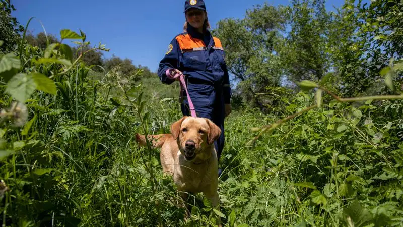 собаки-спасатели в Казахстане, фото - Новости Zakon.kz от 17.02.2023 16:28
