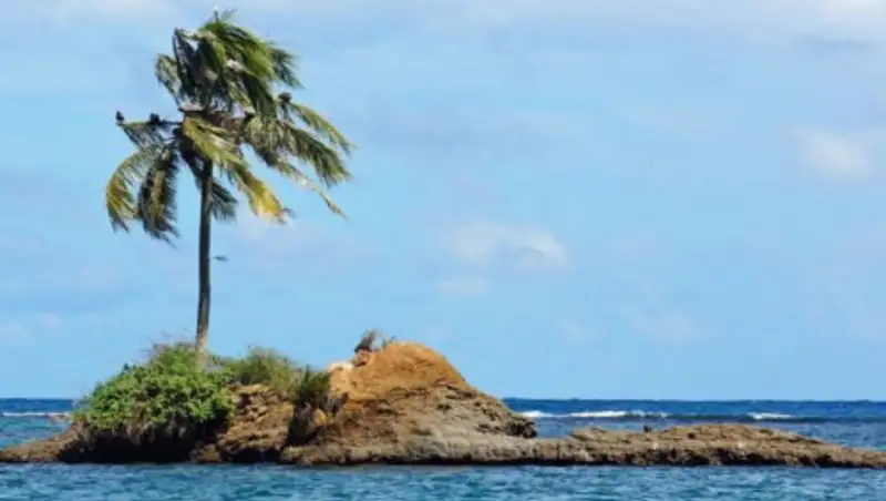 Инфицированных коронавирусом будут размещать на необитаемом острове в Индонезии